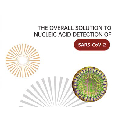SARS-COV-2의 핵산 검출에 대한 전반적인 해결책